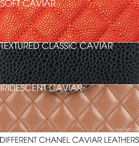 Chanel Caviar Leather Reference Guide .